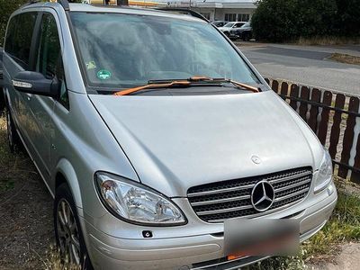 Mercedes Viano