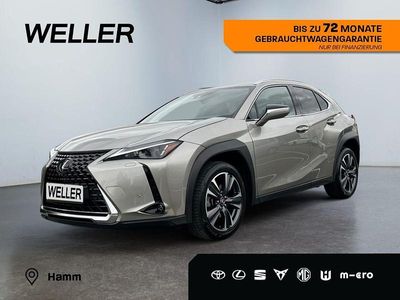 Lexus UX 250h