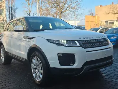 Brugt Land Rover Range Rover evoque 150 HK (110 kW) 2017 Hvid SUV