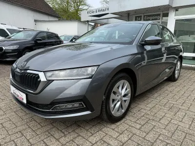 Usata Skoda Octavia 150 CV (110 kW) 2023 Grigio Berlina