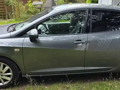 Gebraucht Seat Ibiza Ecomotive 105 PS (77 kW) 2013 Grau Limousine