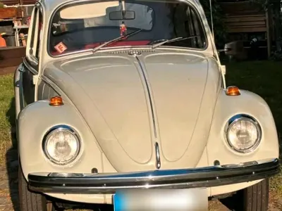 Gebraucht VW Käfer 44 PS (32 kW) 1969 Andere farben