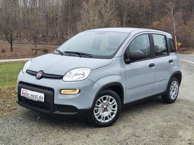 gebraucht Fiat Panda 1.0 GSE Hybrid Tech-Paket, FlexLight-Paket