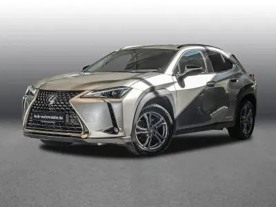 Gebraucht Lexus UX 250h 184 PS (135 kW) 2021 Grau SUV