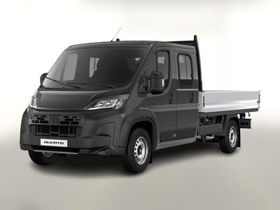 Neu Fiat Ducato 179 PS (131 kW) 2026 Grau metallic Van