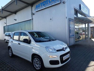 Gebraucht Fiat Panda Easy 69 PS (50 kW) 2019 Weiß Kleinwagen
