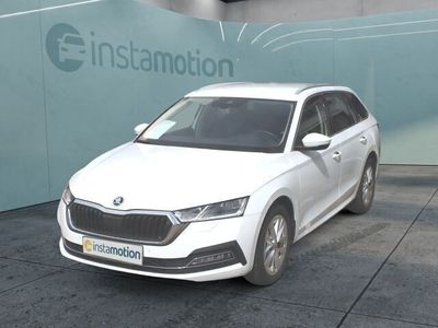 Gebraucht Skoda Octavia Style 150 PS (110 kW) 2023 Weiß Kombi