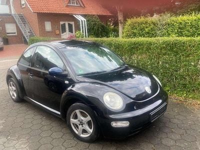 VW Beetle
