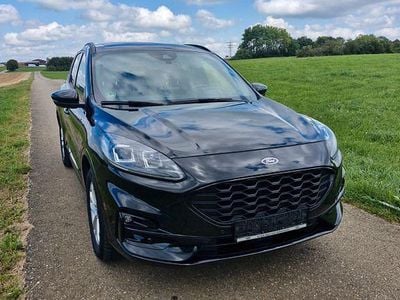 Gebraucht Ford Kuga ST-Line 224 PS (164 kW) 2021 Rot SUV