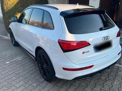 Gebraucht Audi SQ5 Comfort 326 PS (239 kW) 2016 Weiß SUV