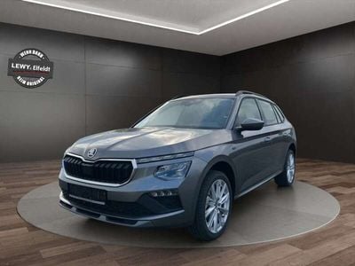 Gebraucht Skoda Kamiq Tour 116 PS (85 kW) 2025 Grau SUV