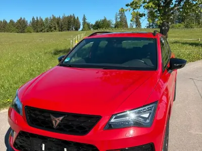 Käytetty Cupra Ateca