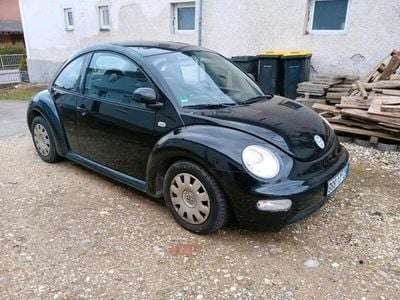 VW Beetle