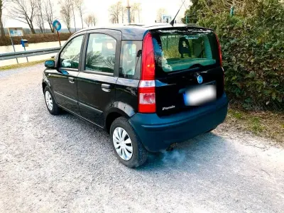 Używany Fiat Panda 54 KM (39 kW) 2006 Czarny Hatchback