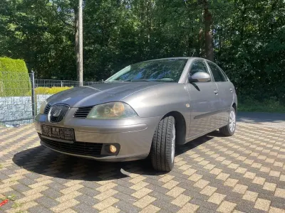 Gebraucht Seat Ibiza 75 PS (55 kW) 2004 Grau Kleinwagen