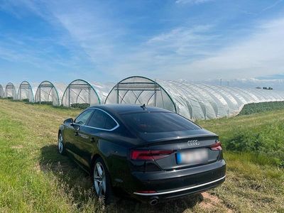Gebraucht Audi A5 Sportback Design 150 PS (110 kW) 2019 Schwarz Kleinwagen