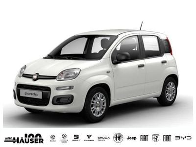 Second-hand Fiat Panda Icon 69 CP (50 kW) 2025 Alb Hatchback