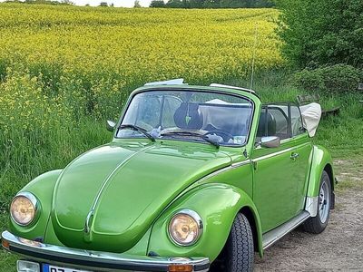 gebraucht VW Käfer 