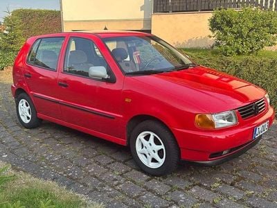 VW Polo