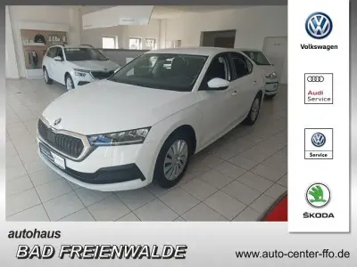 Gebraucht Skoda Octavia Active 110 PS (80 kW) 2022 Weiß Limousine