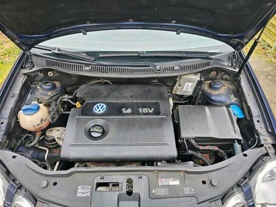 gebraucht VW Polo Berlina