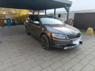 Brugt Skoda Octavia Scout Scout 4x4 184 HK (135 kW) 2015 Brun Stationcar