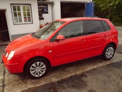 gebraucht VW Polo IV Cricket