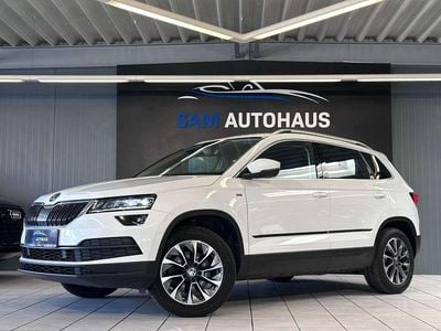 Gebraucht Skoda Karoq Drive 190 PS (139 kW) 2020 Moonweiss metallic SUV