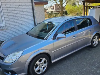 Używany Opel Signum