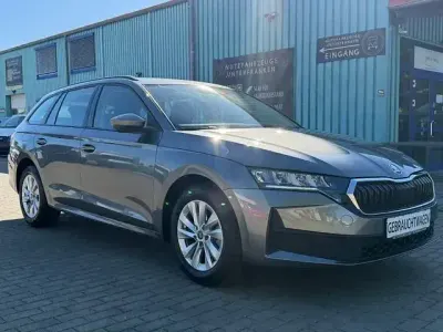 Usata Skoda Octavia Selection 190 CV (139 kW) 2019 Andere Berlina