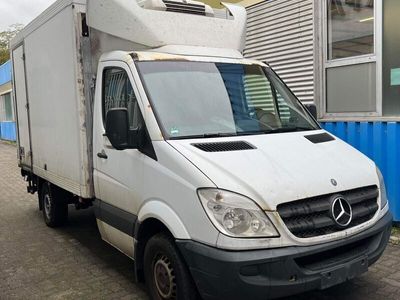 gebraucht Mercedes Sprinter 316 CDI Tiefkühlkoffer THERMO-KING -30