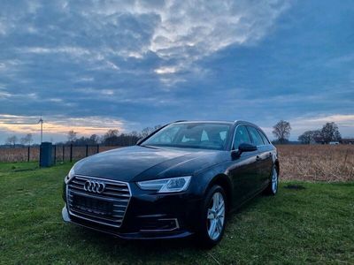 gebraucht Audi A4 - B9 2.0 TDI - Avant