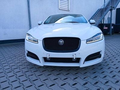 Occasion Jaguar XF R-Sport 200 ch (147 kW) 2013 Blanc Berline