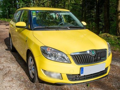 gebraucht Skoda Fabia 1.2l TDI GreenLine Combi