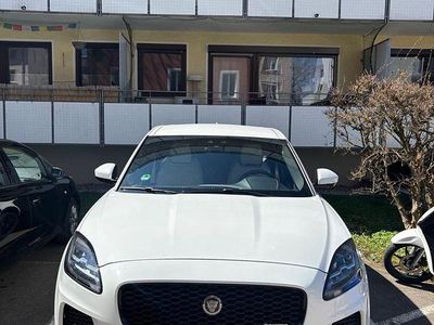 Gebraucht Jaguar E-Pace R-Dynamic 200 PS (147 kW) 2019 Weiß SUV