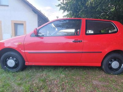 Gebraucht VW Polo 45 PS (33 kW) 1995 Rot Kleinwagen