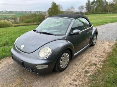 VW Beetle