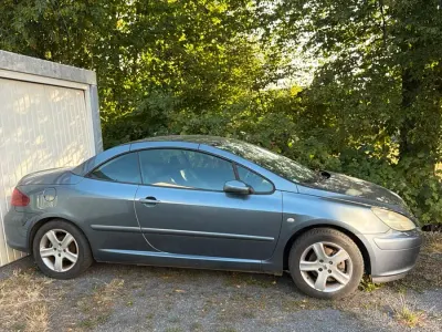 Gebraucht Peugeot 307 120 PS (88 kW) 2006 Blau