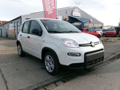 gebraucht Fiat Panda Panda