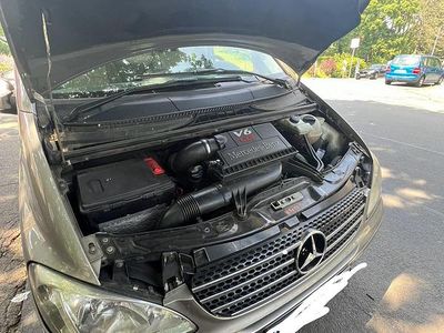 Mercedes Viano
