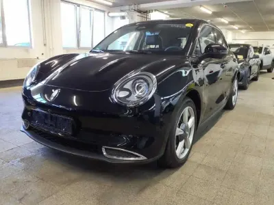Gebraucht Ora 03 125 kW (171 PS) 2024 Schwarz met. Kleinwagen