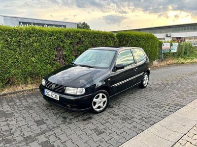 VW Polo