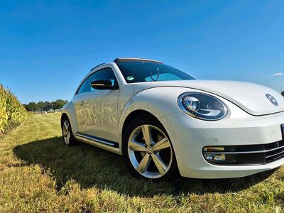VW Beetle