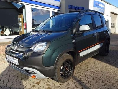 Foresta grün Gebraucht 2023 Fiat Panda Garmin Kleinwagen | 13.950 € (Etwas zu teuer)