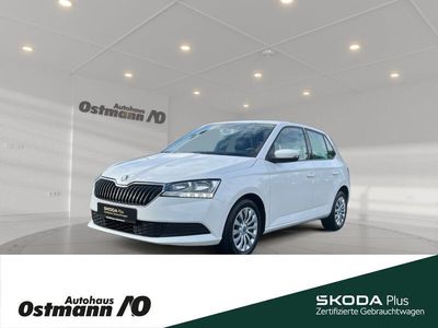 Gebraucht Skoda Fabia Cool Plus 60 PS (44 kW) 2021 Weiß Kleinwagen