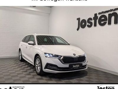 Candyweiss Gebraucht 2023 Skoda Octavia Style Kombi | 21.490 € (Guter Preis)