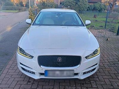 Gebraucht Jaguar XE Prestige 180 PS (132 kW) 2015 Weiß Limousine