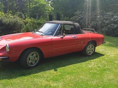 gebraucht Alfa Romeo Spider 