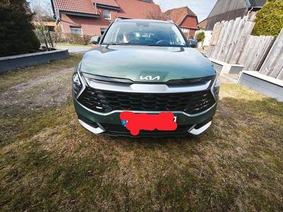 Gebraucht Kia Sportage Spirit 230 PS (169 kW) 2024 Grün SUV