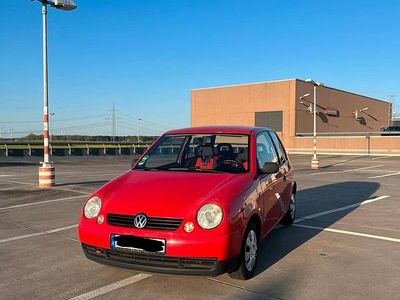 Usata VW Lupo 50 CV (36 kW) 1998 Rosso Utilitaria